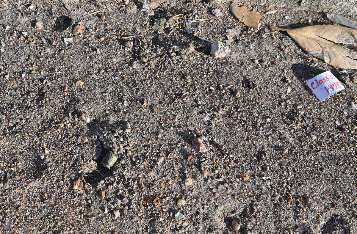 A bullet casing near the curb of North Main Streets in Leland, Monday, Oct. 13, 2025, where a shooting resulted in multiple fatalities during a homecoming celebration.