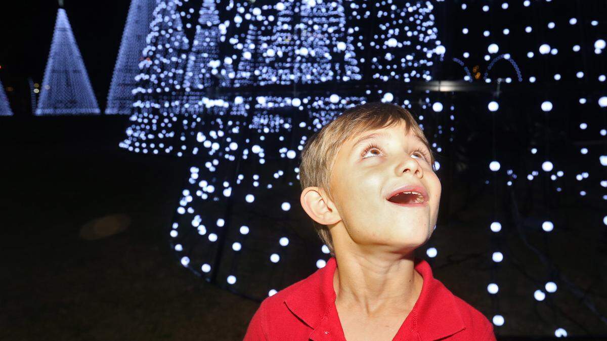 JOHN FITZHUGH/SUN HERALD 
 Evan Heidingfelder, 7, of Gulfport looks at the Christmas light display at Jones Park in Gulfport during a special preview on Thursday Nov. 19, 2015.