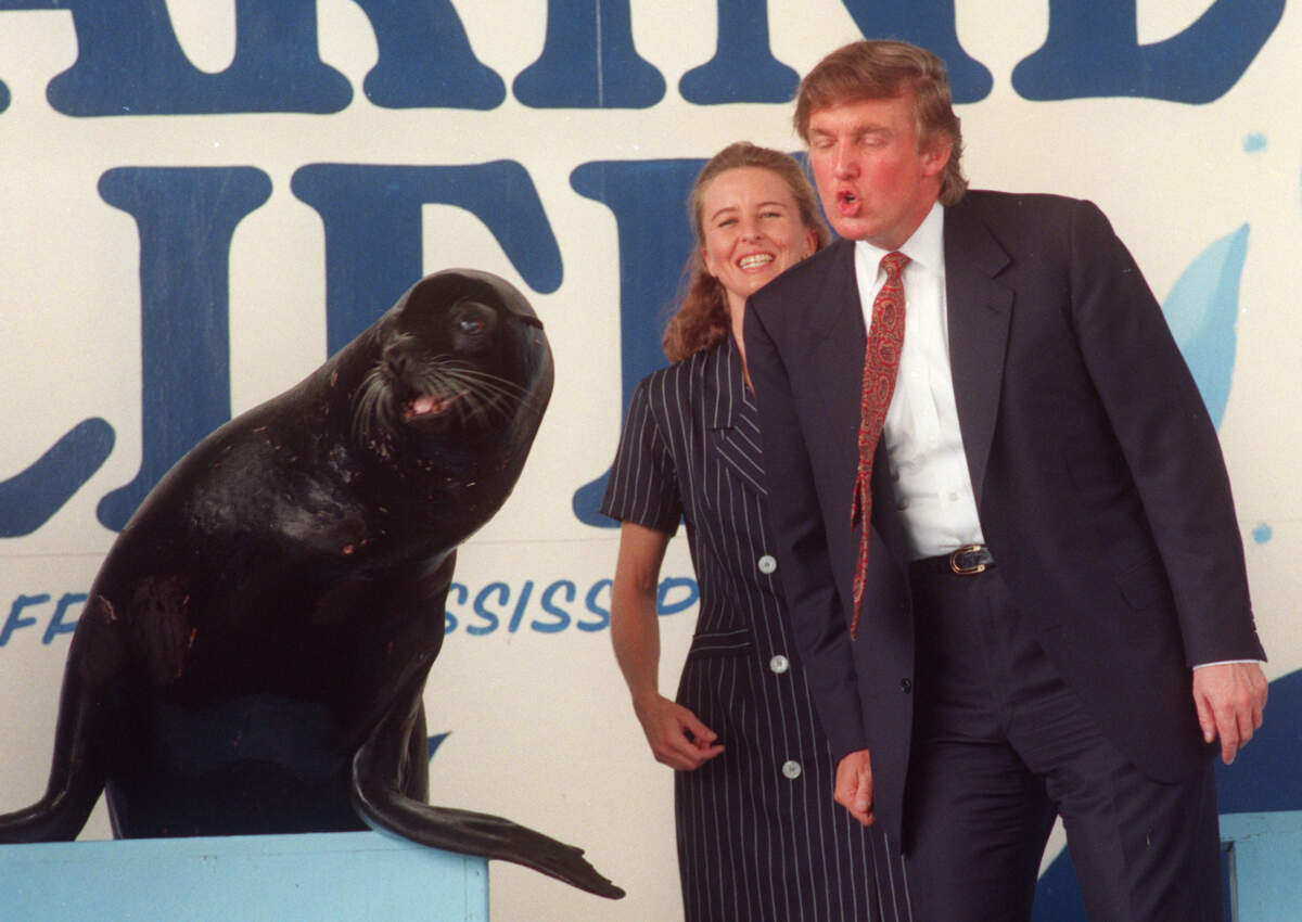Photo sequence shows Donald Trump getting kissed by a sea lion