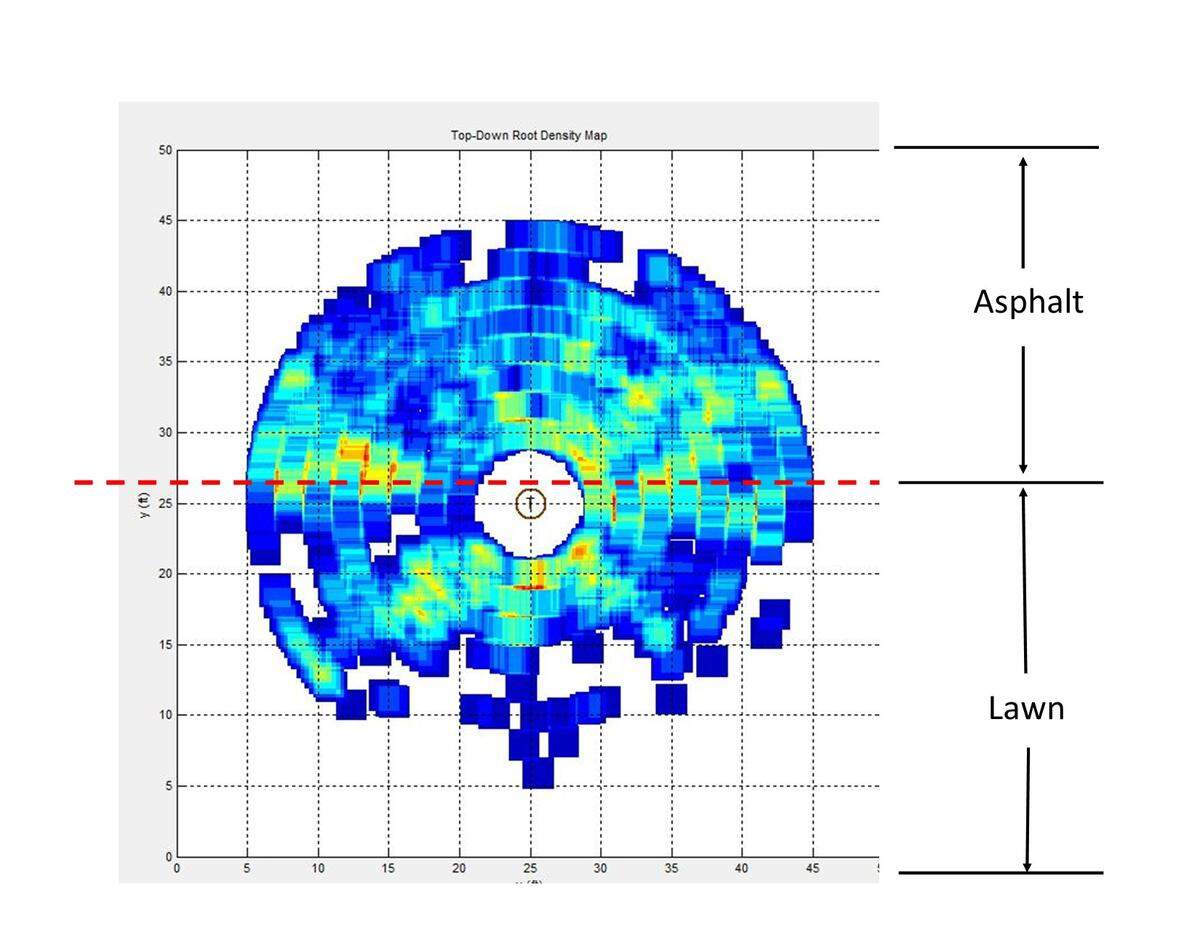 The ground penetrating radar of the roots of a tree, done by Fulgham Inc. tree specialist and consultants, shows the health of the roots of a live oak or other tree.