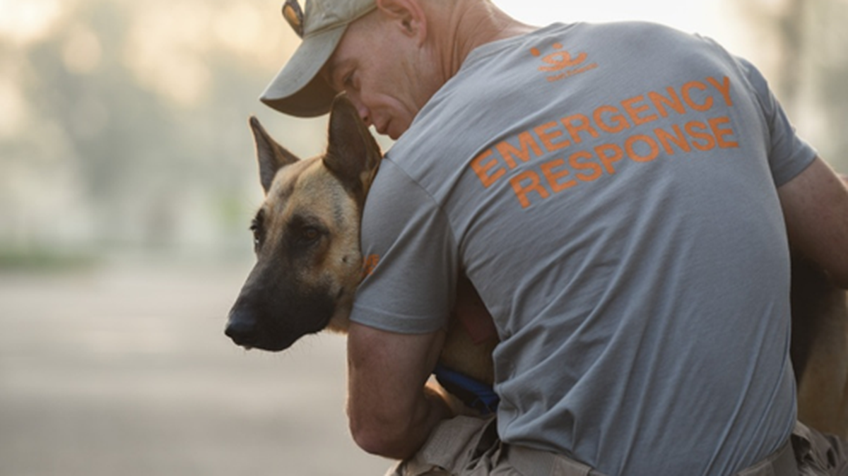 According to HSSM Director Katie King, microchipping your pet can ensure proper identification during a disaster situation.