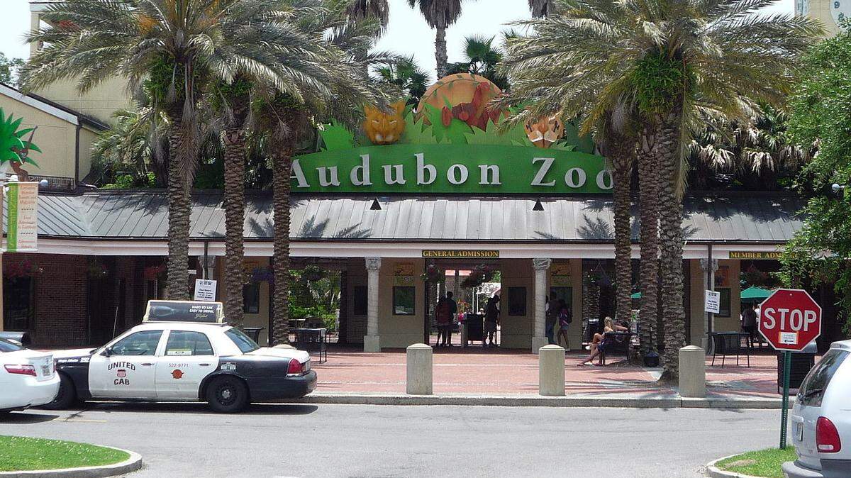 Entrance to the Audubon Zoo
