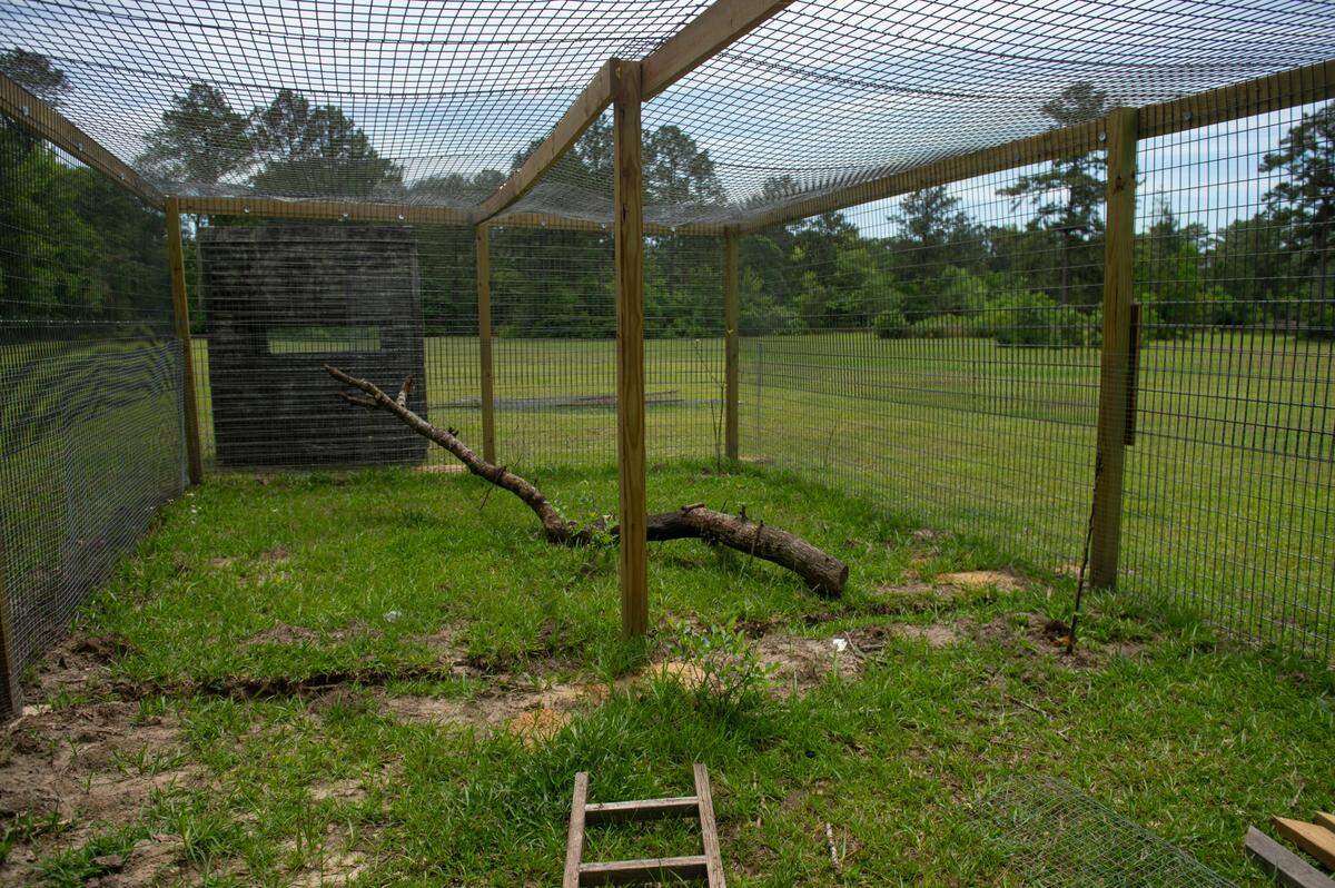 The future enclosure for two kinkajous, Diego and Balou, at Gulf Coast Primate Sanctuary in Perkinston, on Thursday, May 1, 2025.