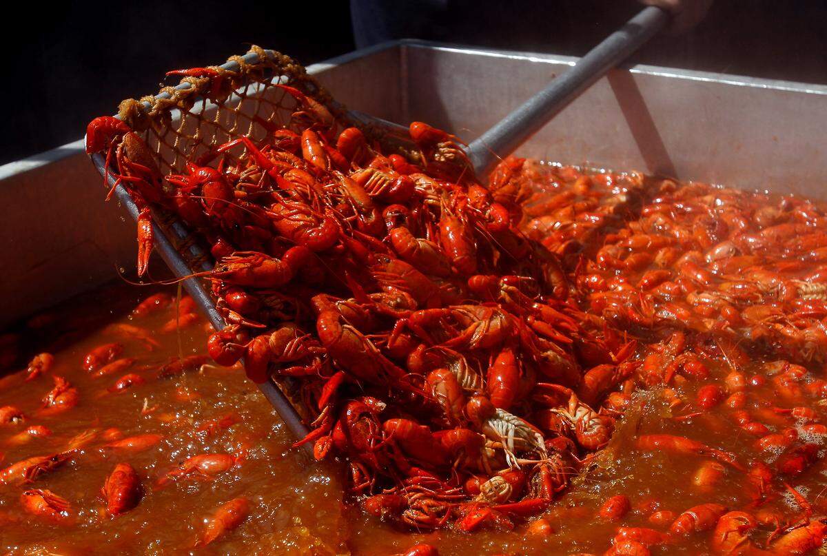 Quality Seafood boils crawfish at the annual Crawfish Festival in Biloxi on Saturday, April 19, 2014, at the Coast Coliseum.