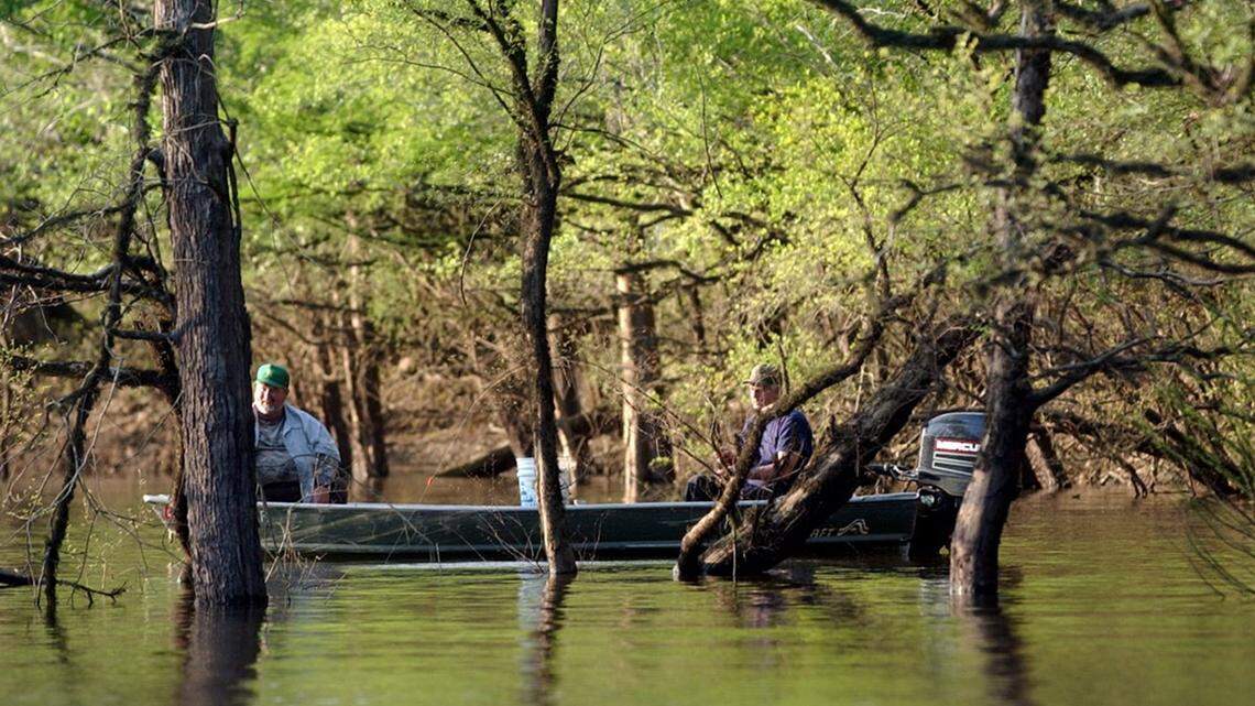 Here’s why South Mississippi’s fishing season is looking up, state says