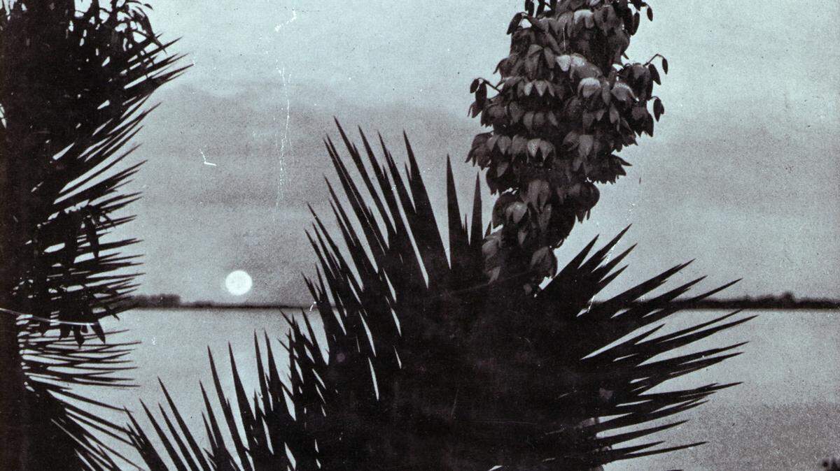 Harnett T. Kane's"The Golden Coast" was published in 1959.