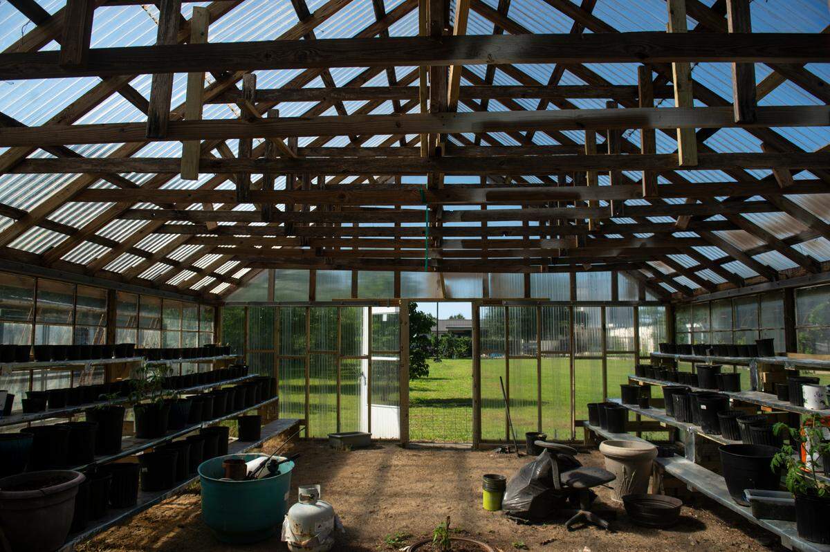 A greenhouse is one of the only original structures on the property of Binoy and Abha Mishra’s home on Scenic Drive in Pass Christian on Tuesday, May 16, 2023.