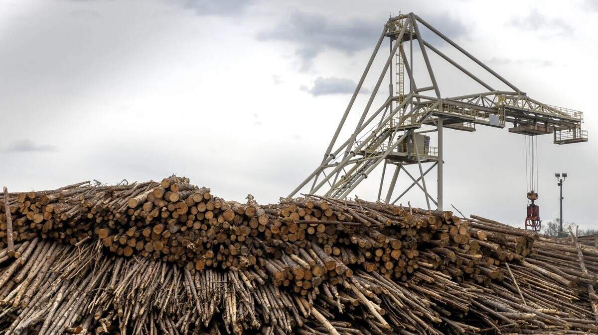 Operations resume at Drax in Gloster in February. Some Gloster residents are concerned with the industrial pollution caused by the company that produces wood pellets in the town.