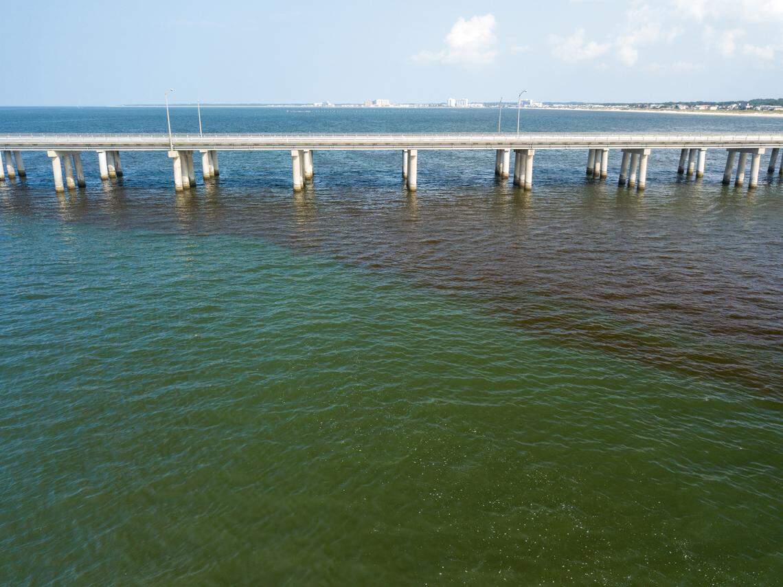 An algal bloom is seen near the Chesapeake Bay Bridge Tunnel in Virginia in August 2021.