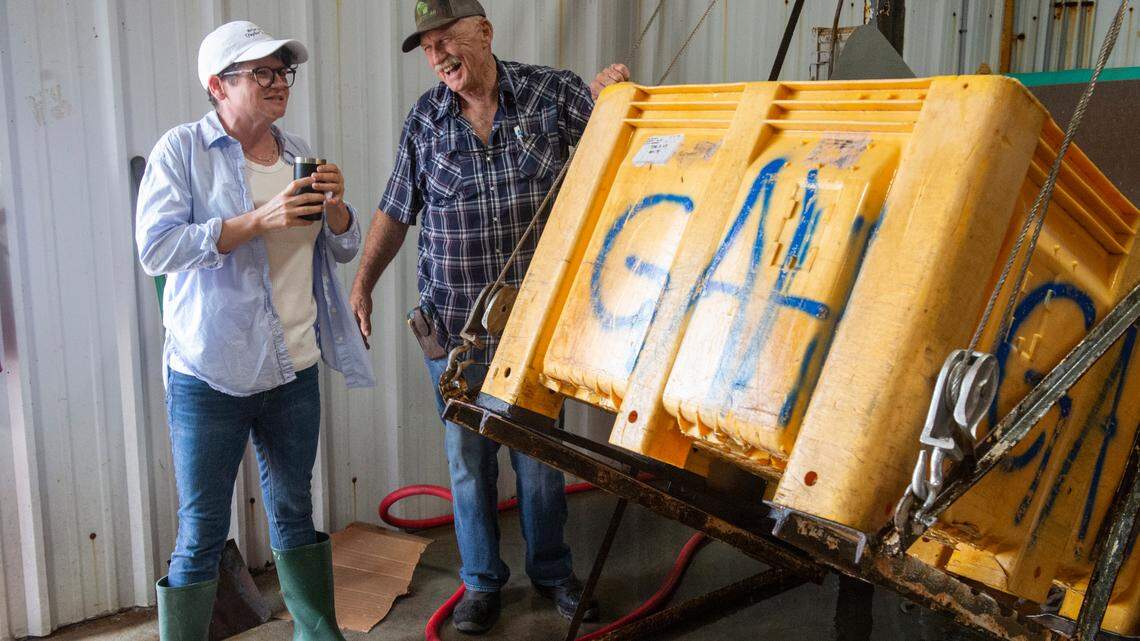 Seafood labeling law back on table in MS as many Gulf restaurants serve up imports