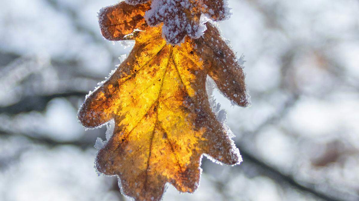 Colder-than-average temperatures are expected to hit Mississippi soon, ushering in the first freeze of the season in parts of the state, weather experts said.