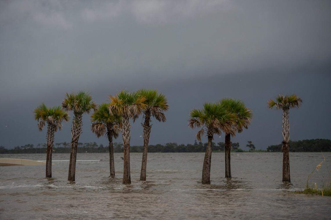 Palm trees are submerged by storm surge along Highway 90 in Biloxi on Sunday.