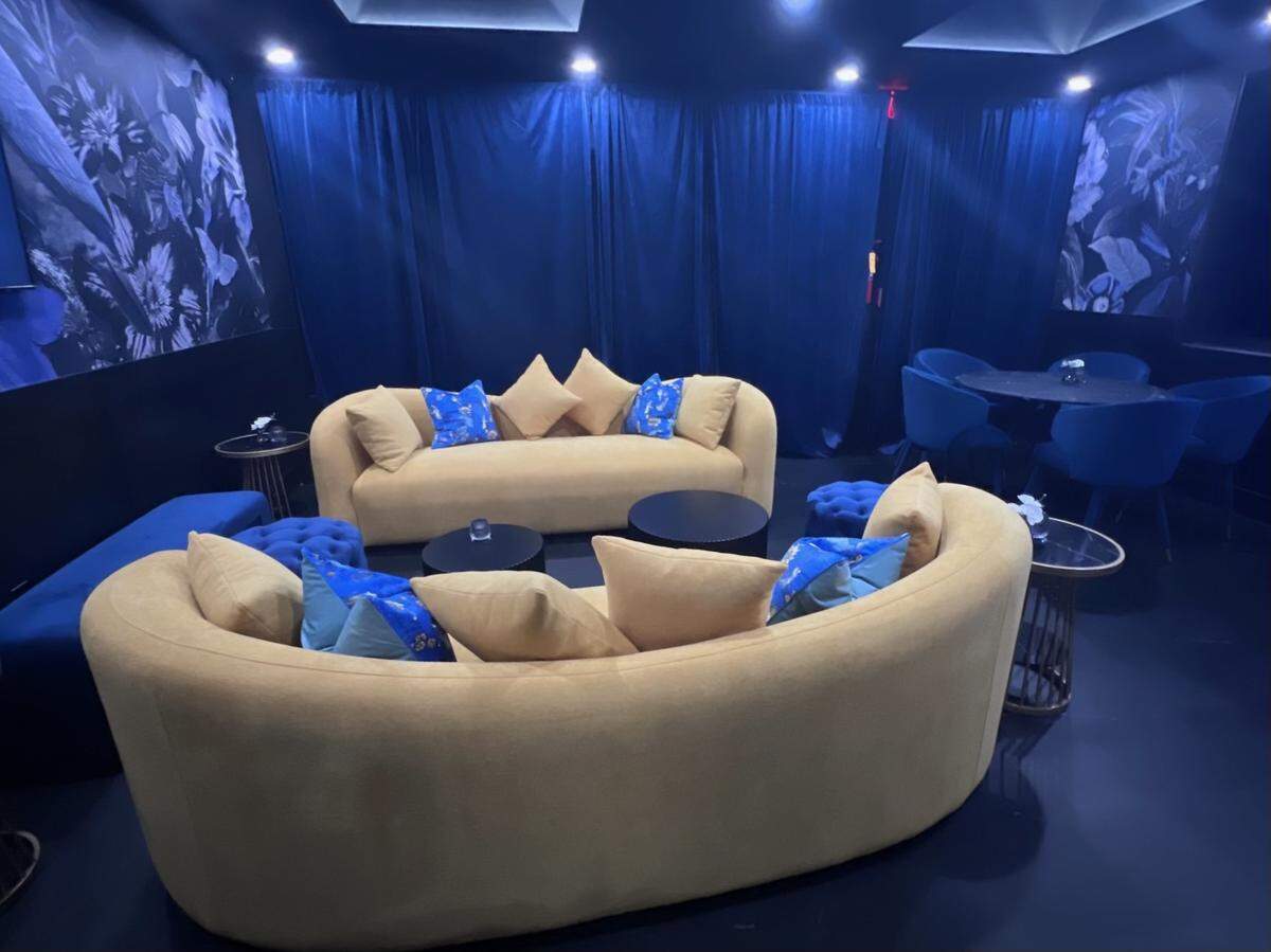 Elegant decor is part of Magnolia Room, a new and modern speakeasy at Handsboro Pointe Condos off Cowan Road in Gulfport. The bar will have a new password to access it each week.