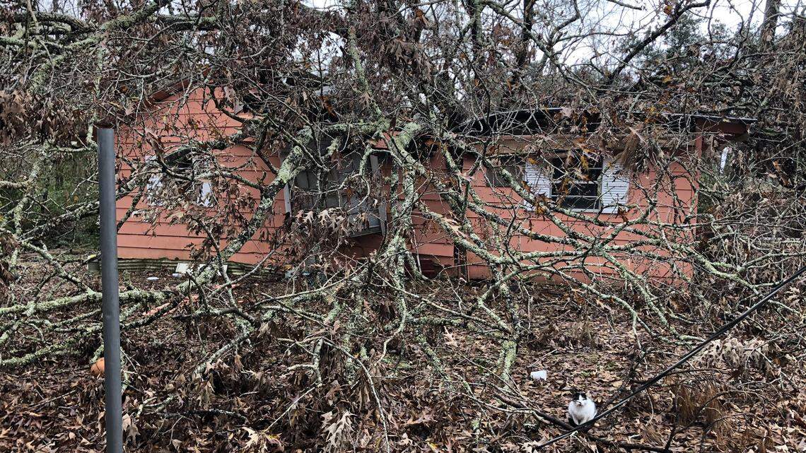 MS among top 10 states with highest home insurance rates; here’s how to save