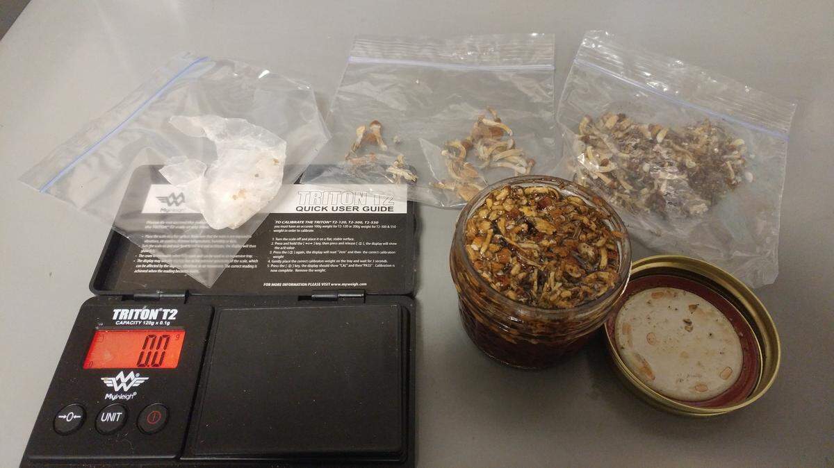 The Hancock County Sheriff’s Office Narcotics Division says it found 17 containers actively producing mushrooms, supplies, dried mushrooms and concentrate of THS and psilocybin during an investigation of a residence after a traffic stop March 9, 2019.