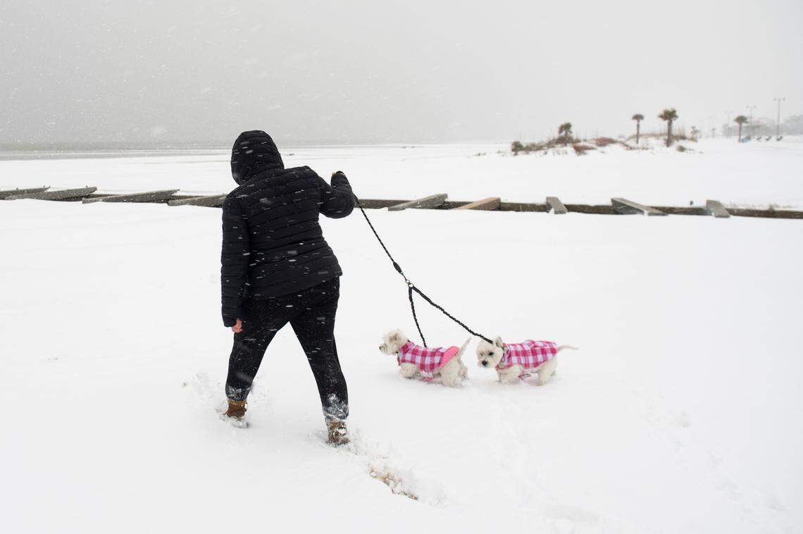 A woman walks her dogs in the snow at Gulfport East Beach on Tuesday, Jan. 21, 2025.