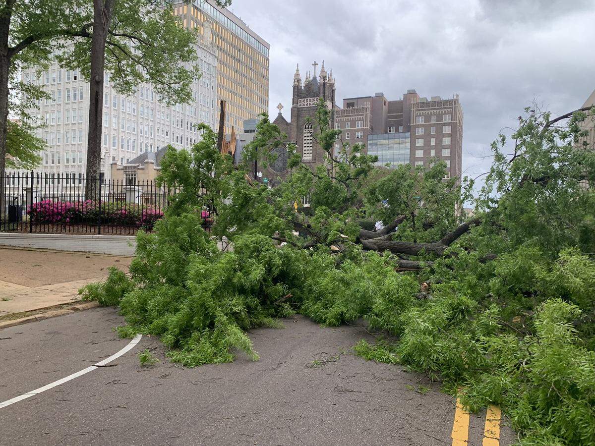 A large tree fell onto the grounds of the Governor’s Mansion in downtown Jackson, Mississippi, on March 30, 2022 as severe weather moves through the state.