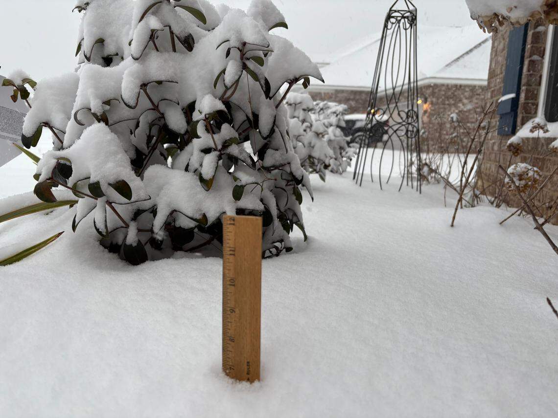 The total snowfall continues to rise in Ocean Springs, where one measurement found 7 inches on Tuesday, Jan. 21, 2025.