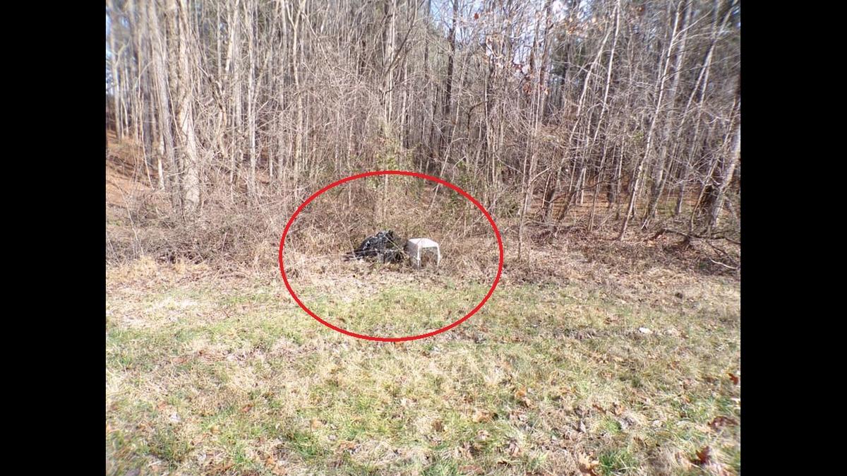 A North Carolina animal protection society is offering a $5,000 reward for information after two dogs were found dead in their crates after being left on the side of a road.