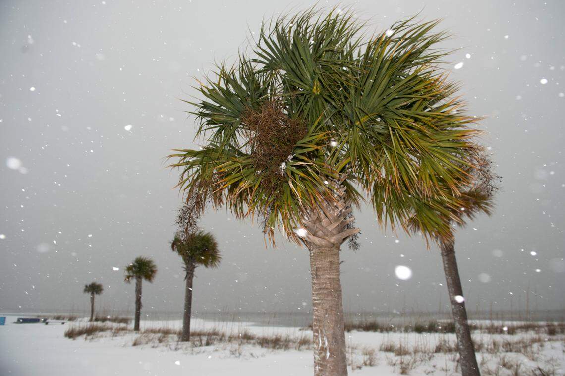 A rare Gulf Coast snowstorm blanketed the Mississippi Coast on Tuesday, Jan. 21, 2025.