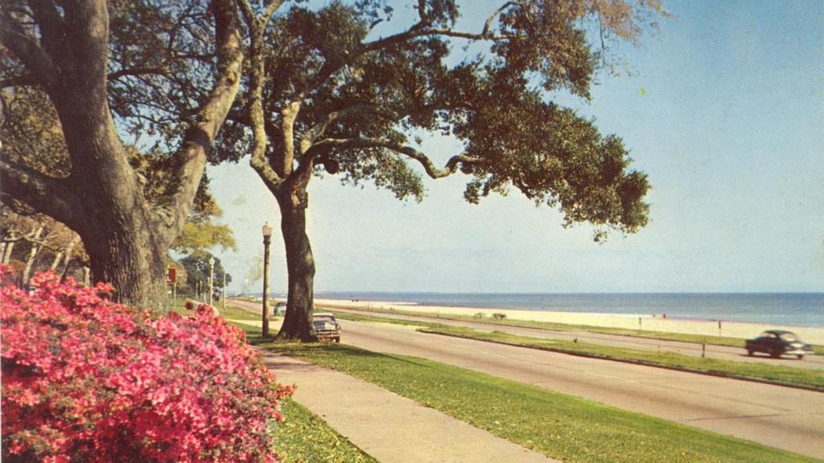 The Mississippi Coast’s natural beauty has long made this region a ‘destination.’ This Biloxi scene is likely the 1930s.