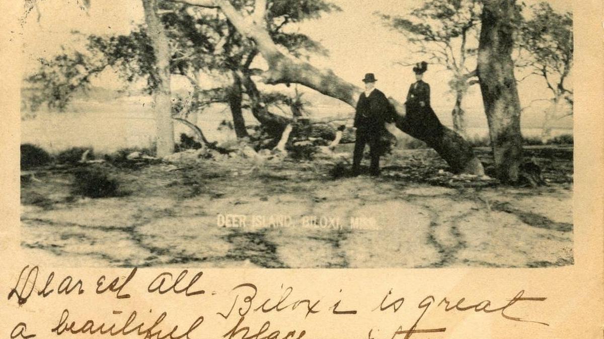 The message written on the front of this turn-of-the-century postcard of Deer Island mentions the beauty of the Mississippi Coast.