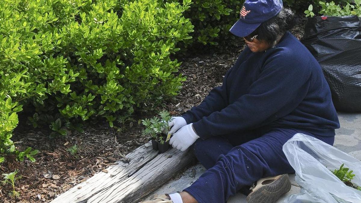 Real gardeners know the work is hard, but they consider sweat equity a reasonable price to pay to be able to enjoy their landscapes.