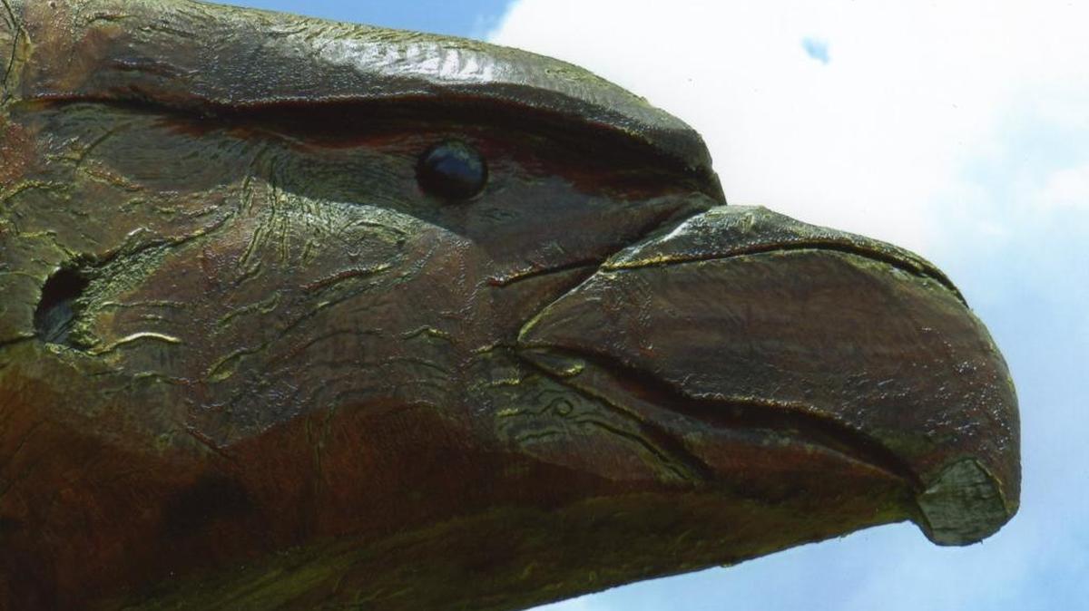 Close-up photographs of the eye and the beak of this eagle wood sculpture were used in a ‘What is this?’ history mystery three weeks ago.