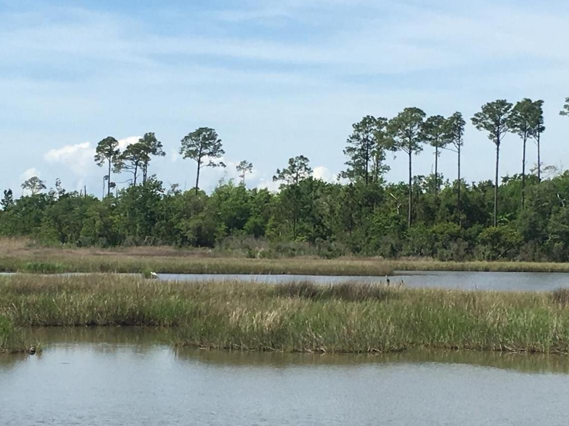 Pirate’s Alley Nature Trail at Buccaneer State Park goes through woods and offers views of tidal marshlands.