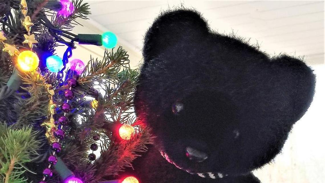T.R., the world-traveling, disaster-surviving, story-telling teddy bear, was bought 32 years ago as a Christmas gift. More than a century after their creation, the plush bear toys called “teddy” after an American president remain popular gifts for young and old across the developed world.