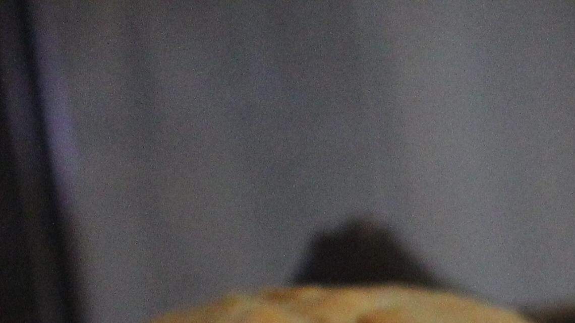 Hungry for bread while supplies are low? Make your own.