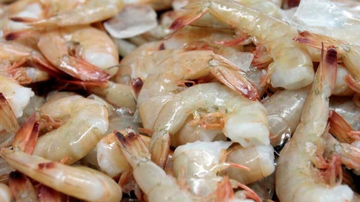 Fresh shrimp is a versatile ingredient for Lenten dishes.