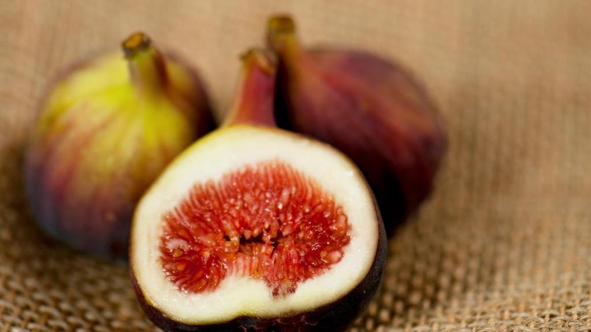 Fresh figs from the garden make summer recipes sweeter.