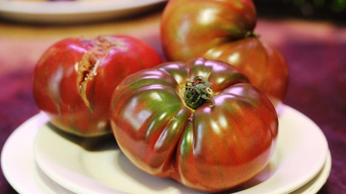 Homegrown tomatoes are atop the list of favorite summertime fare