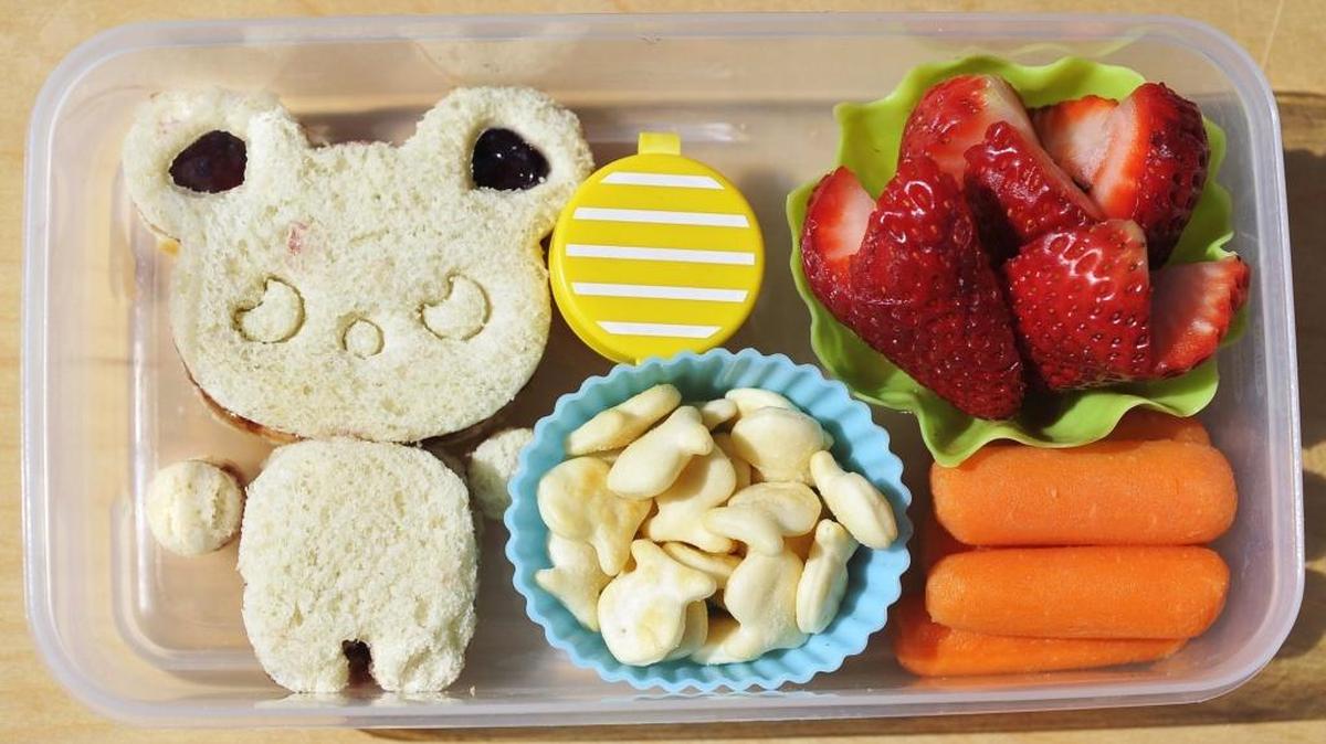 This bento box style lunch features a panda-shaped peanut butter and jelly sandwich, fish crackers, a container of hummus, strawberries and carrots.