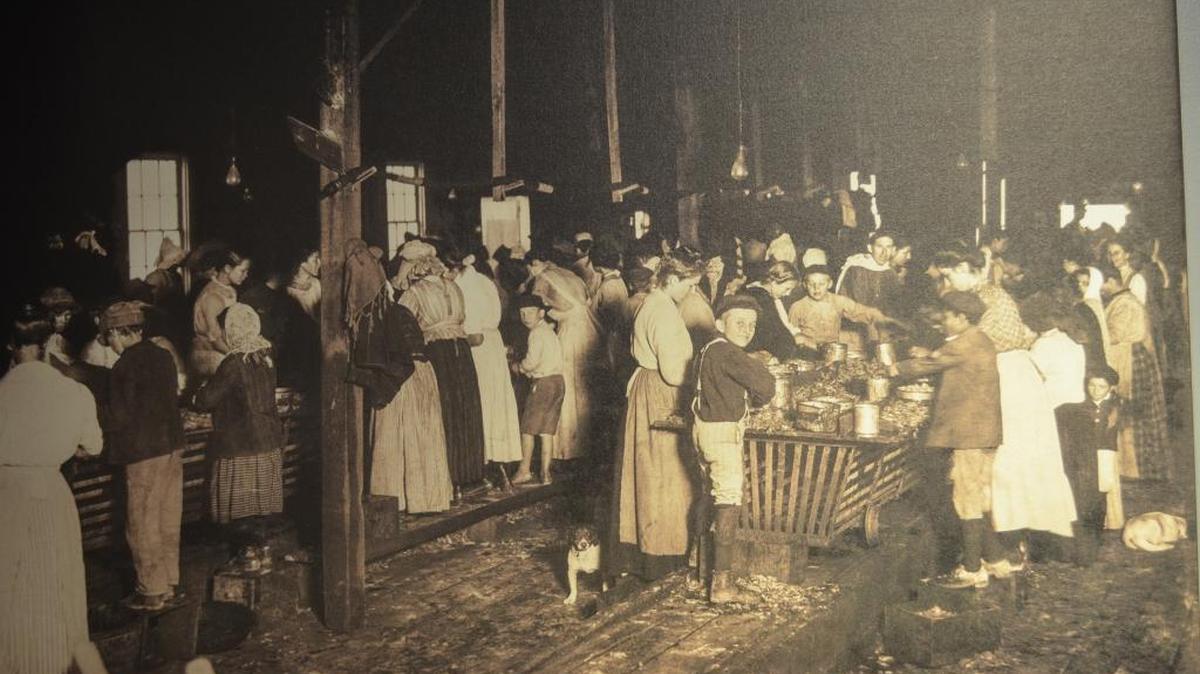This photograph by Lewis Hine was taken in 1911 at the Gorenflo Canning Co. in Biloxi.