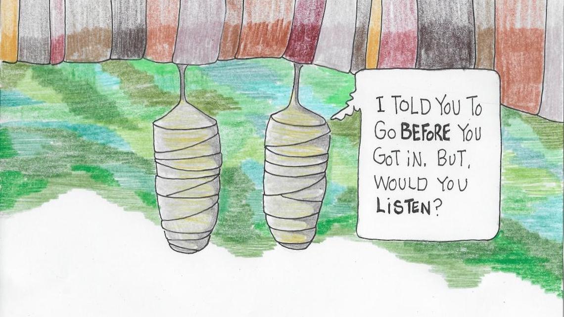 Caterpillars make a mess of your tomatoes