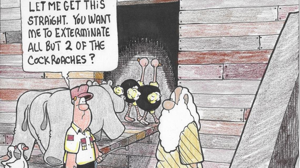 Don’t make your home comfy for cockroaches