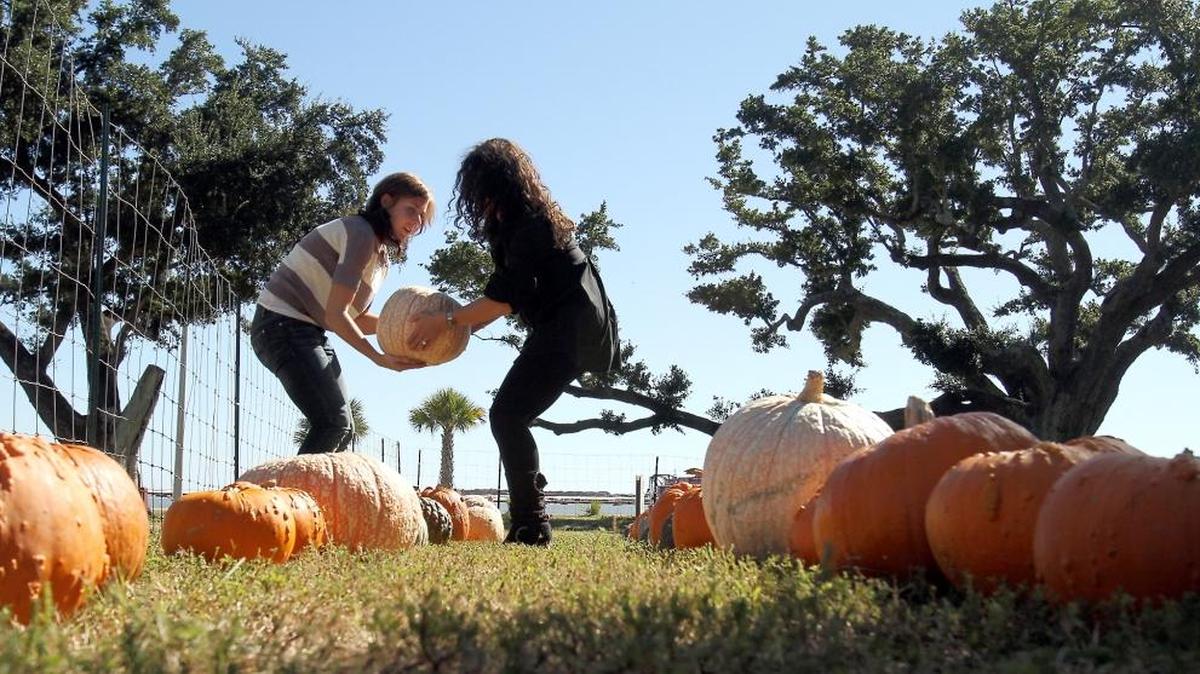 Redeemer's Pumpkin Patch in Biloxi is a Halloween highlight.
