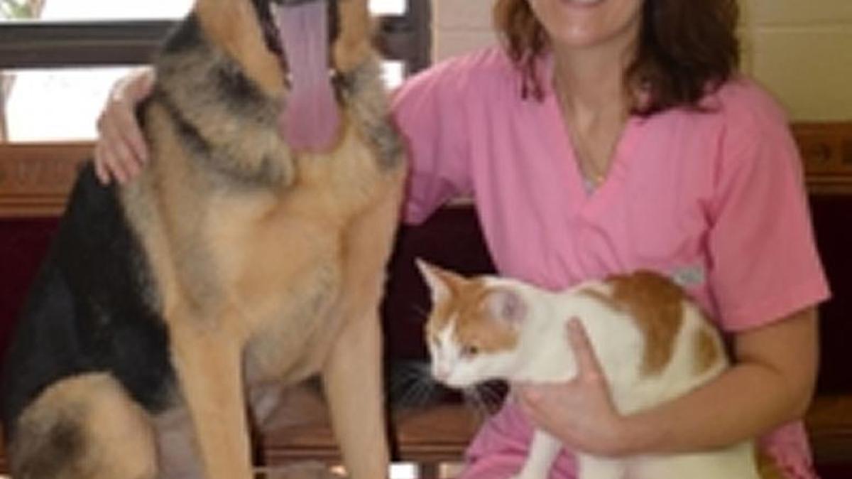 Dr. Jen Griffin is owner and a veterinarian of Happy Tails Animal Hospital in D’Iberville.