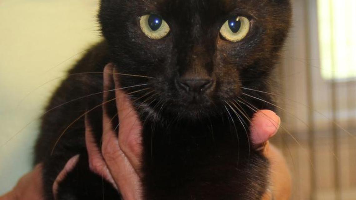 Look deeply into my eyes