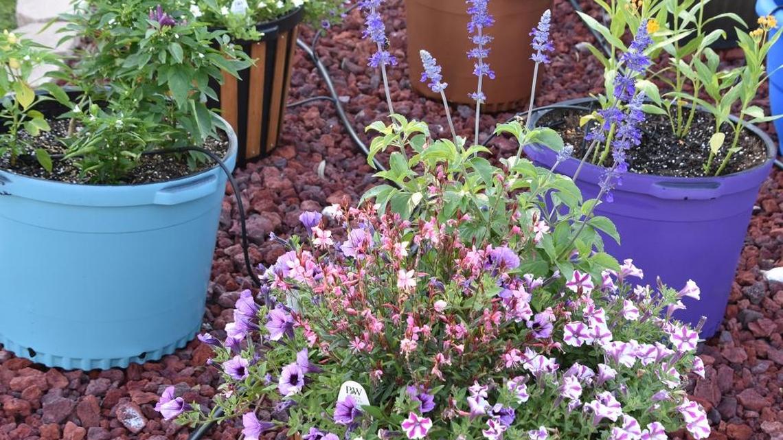 Container gardening makes irrigtation, weeding and fertilizing a breeze, while offering beauty that can be moved around for variety and weather protection.