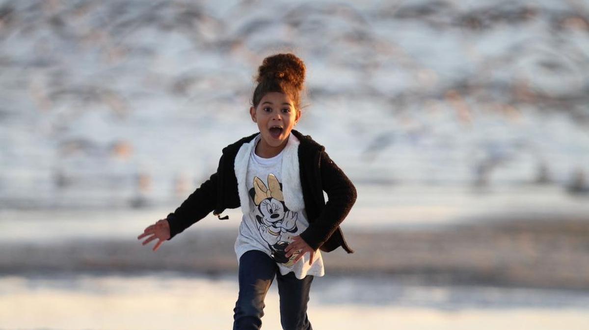 Jade'lenn Adams, 6, of Gulfport runs away after scaring up a flock of birds on the beach near the Courthouse Road Pier in Gulfport on Saturday, Feb. 4, 2017. Visiting the beaches and piers along the Mississippi Coast is just one of many free activities to do with kids.