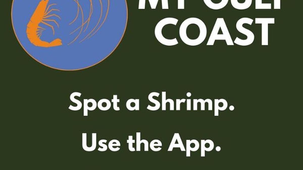 The logo of the My Gulf Coast smartphone app