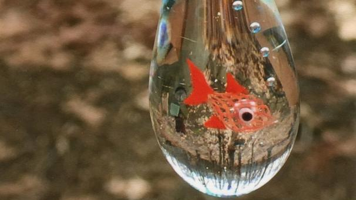 Is that a fish? This seemingly impossible feat is a glass allusion created by the Ministry of Glass di Emanuele Di Cataldo in Murano, Italy.
