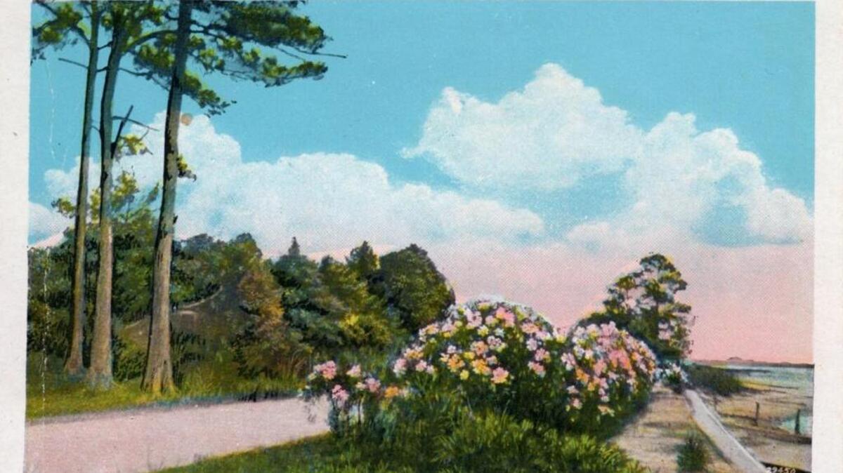 This postcard shows oleanders along Beach Drive in Bay St. Louis. ‘The Garden of the Riviera’ was the western end of the American Riviera, a 1920s designation touted by Mississippi’s three coastal counties.