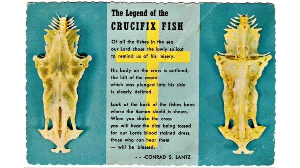 This circa-1960s postcard contains the Conrad S. Lanz poem that has moved the Crucifix Fish from Gulf Coast lore into a broader world of Easter and good-luck folklore.