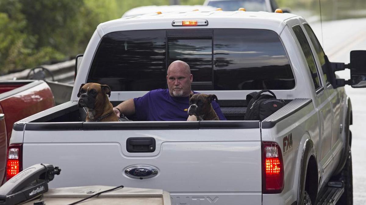 Residents take pets and belonging out of their homes in the flood hit areas around Walker, La., Monday, Aug. 15, 2016.