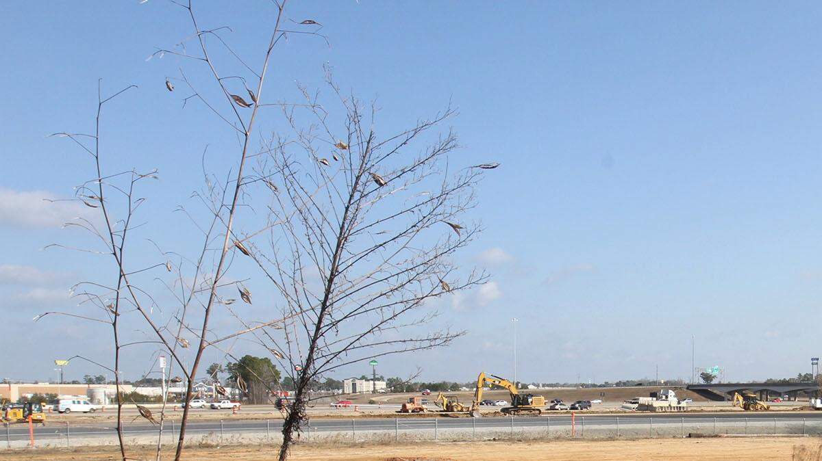 John Fitzhugh/Sun Herald
The parcel of land at the intersection of I-10 and I-110 in D'Iberville that was the intended site of Ocean Expo aquarium now will become two auto dealerships with projected sales of $100 million a year. City officials have agreed to provide tax increment financing to help pay for infrastructure at the site.