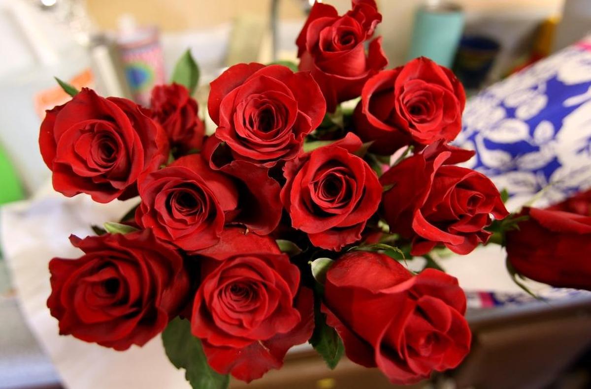 Red roses are the most popular flower on Valentine Day.